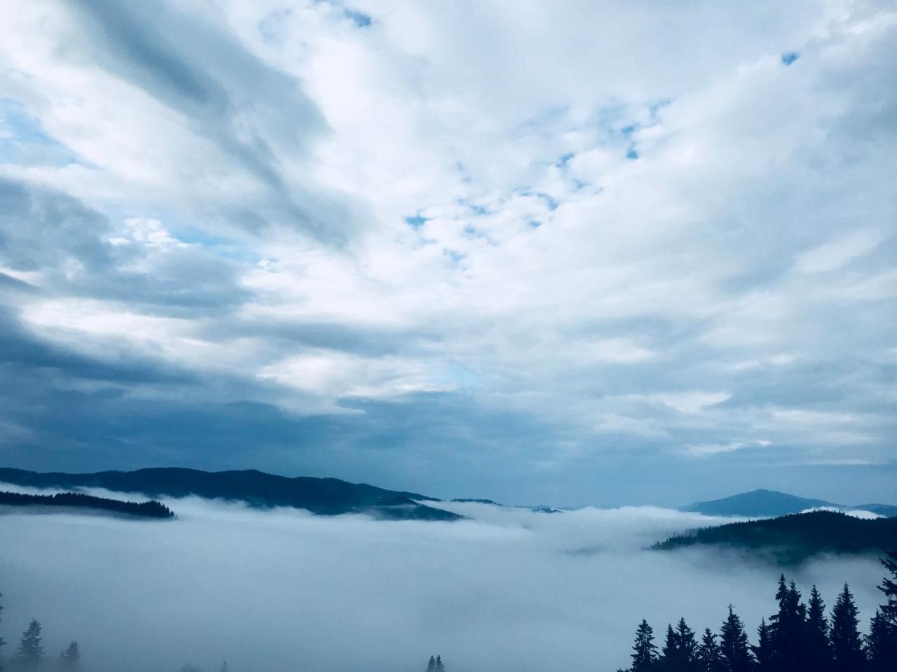 Pensiunea Serbeca Brosteni Bagian luar foto